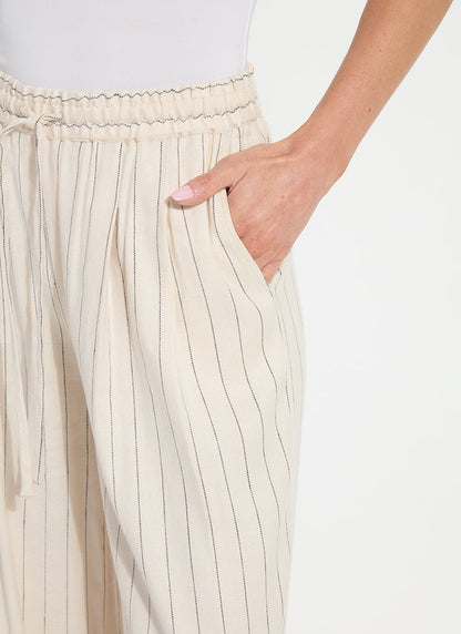 Lysse Iria Pleated Drawstring Wide Leg Pant (31" Inseam) Summer Linea